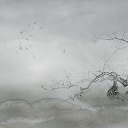 ÷-ԭ(chung)Ʊڮ CG-NDC5199