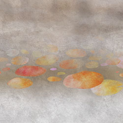 -ԭ(chung)Ʊڮ CG-NDC5226